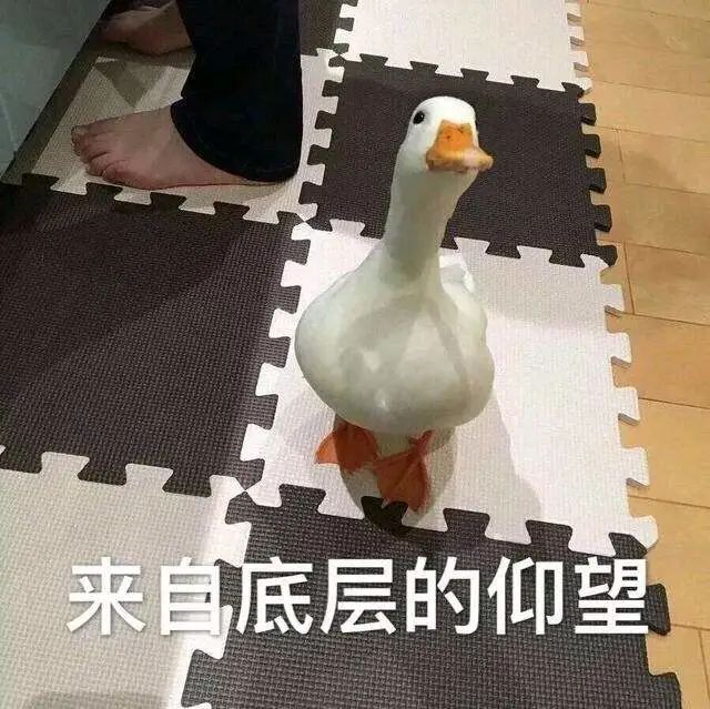 拿到字节跳动50K offer的PM，都是什么水平？