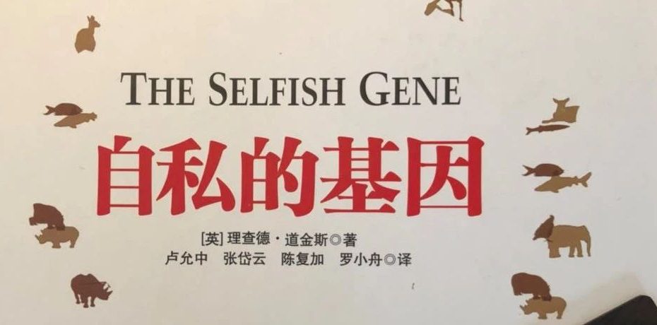 %title缩略图
