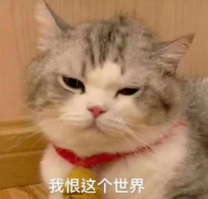 如何才能在时代发展的风口下乘风破浪呢? 如何才能在时代发展的风口下乘风破浪呢?